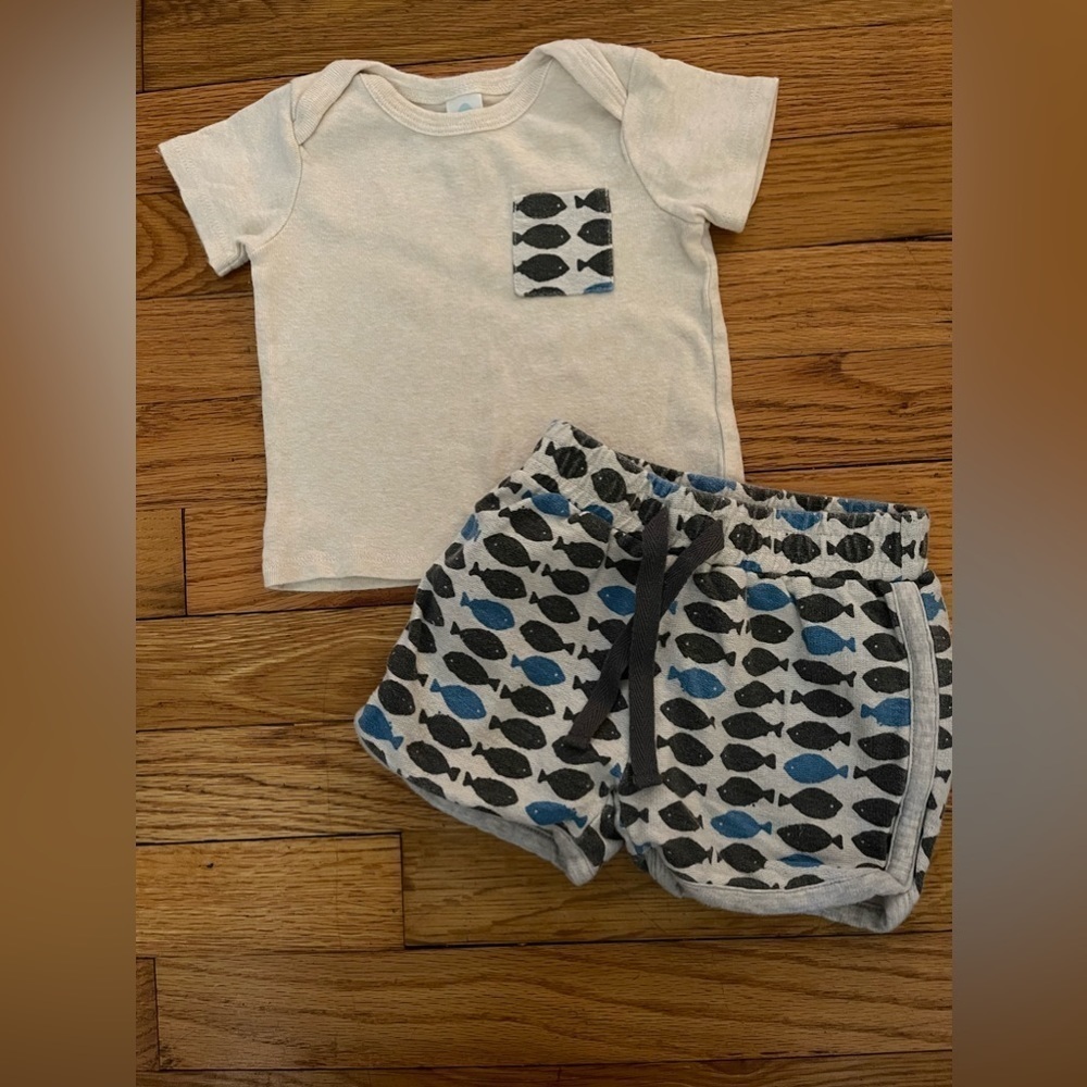 Stem | shorts and short sleeve shirt | baby boy 6mo